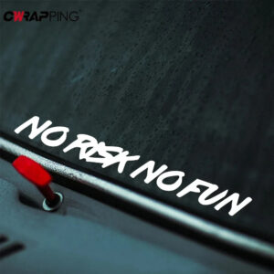 22x2.4cm NO RISK NO FUN Car Sticker Styling Car Body Window Windshield Bumper Motorcycle Decor Vinyl Film Decal Auto Accessories