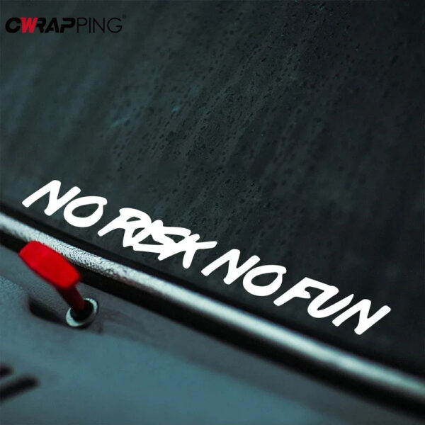 22x2.4cm NO RISK NO FUN Car Sticker Styling Car Body Window Windshield Bumper Motorcycle Decor Vinyl Film Decal Auto Accessories