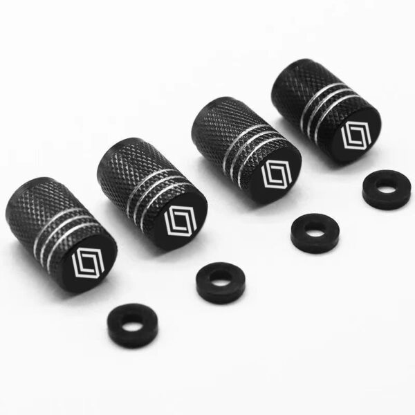4pcs Car Wheel Tire Valve Caps laser Wheel Tire Stem Valve Caps For Renault koleos duster megane 2 logan clio Auto Accessories - Image 3