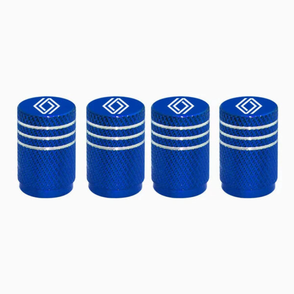4pcs Car Wheel Tire Valve Caps laser Wheel Tire Stem Valve Caps For Renault koleos duster megane 2 logan clio Auto Accessories - Image 9
